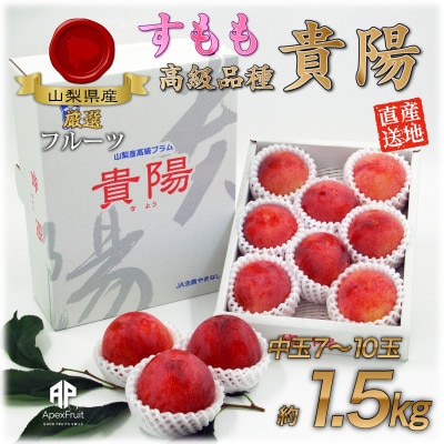 【2025年先行受付】南アルプス市産　すもも『中玉貴陽』約1.5kg(7～10玉)