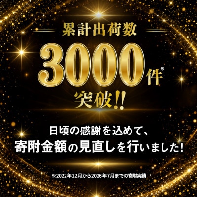 ≪寄附金額改定≫【置物】純金製(K24)甲州金レプリカ 武田氏時代の貨幣『露一両金』10g