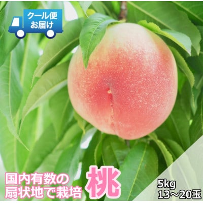 クール便　収穫当日に発送　桃　5kg(13～20玉)