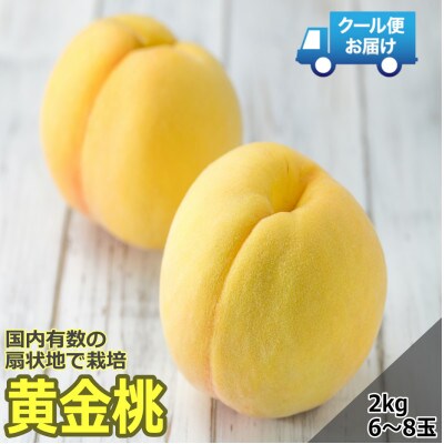 クール便　収穫当日に発送　黄金桃　2kg(6～8玉)
