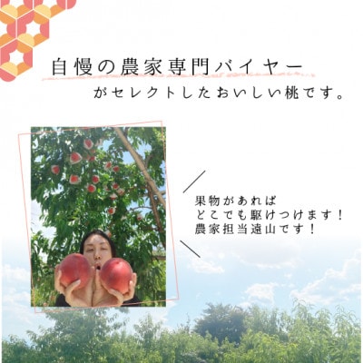 【先行予約】山梨県産 白桃 1.8kg相当 贈答 (ALPAJ018)
