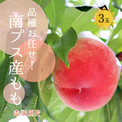 【食べ切りサイズ】南アルプス市から産地直送!桃 品種お任せ 3玉 贈答 (ALPAJ002)