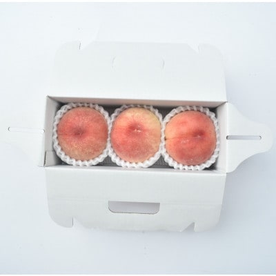 【食べ切りサイズ】南アルプス市から産地直送!桃 品種お任せ 3玉 贈答 (ALPAJ002)