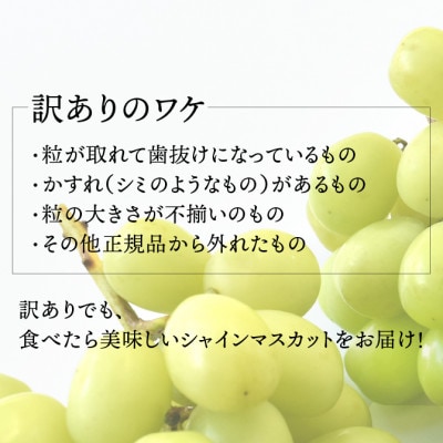 SDGs シャインマスカット 約2kg ご家庭用 (ALPAJ042)