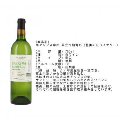 南アルプス市産 甲州ワイン2本セット
