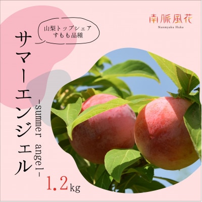 《★2026年度発送分先行予約》農家直送!すもも　サマーエンジェル約1.2kg　ALPAJ006