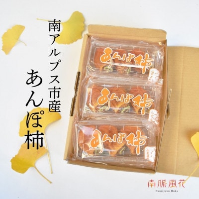 【2026年度発送】南アルプス市産　あんぽ柿　9玉　ALPAJ025