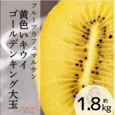 《2026年発送分先行予約》フルーツカフェマルサン　黄色いキウイ　ゴールデンキング　大玉約1.8k