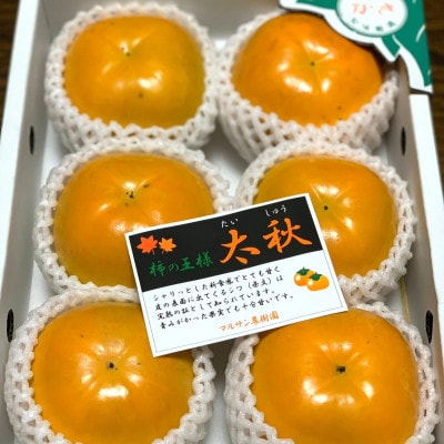 《2026年発送先行予約》マルサン農樹園　太秋柿2.0kg相当　ALPAJ050