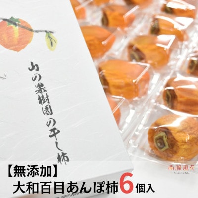 《2026年発送分先行予約》【無添加】大和百目あんぽ柿6個入 ALPAJ026