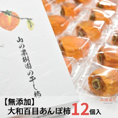 《2026年発送分先行予約》【無添加】大和百目あんぽ柿12個入 ALPAJ027