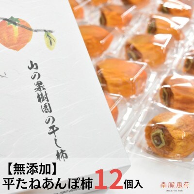 《2026年発送分先行予約》【無添加種なし】平たねあんぽ柿12個入 ALPAJ028