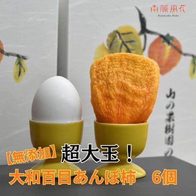 《2026年発送先行予約》【無添加】超大玉!大和百目あんぽ柿6個入 ALPAJ051