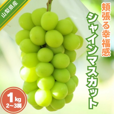 頬張る幸福感 ～緑の宝石・シャインマスカット～ 1kg以上(2～3房)