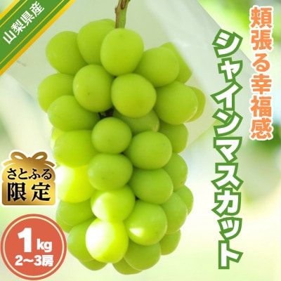 【さとふる限定】頬張る幸福感 ～緑の宝石・シャインマスカット～ 1kg以上(2～3房)