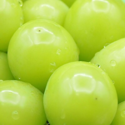 頬張る幸福感 ～緑の宝石・シャインマスカット～ 3kg以上(4～6房)