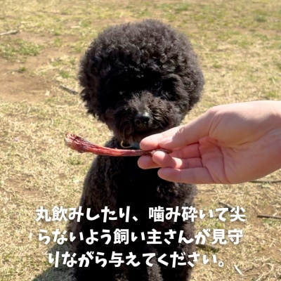 南アルプスの天然鹿肋ジャーキーセット ワンちゃんの贅沢おやつ【肋(大)50g×2袋セット】