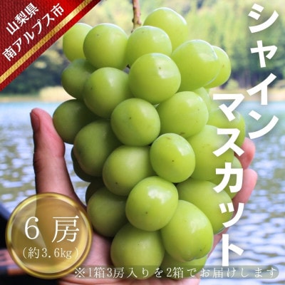 【令和7年先行予約】南アルプス市産シャインマスカット6房(約3.6kg)8月下旬～9月下旬発送