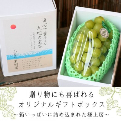 【令和8年先行予約】7月出荷!ハウス栽培南アルプス市産シャインマスカット1房(約600g)