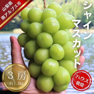 【令和7年先行予約】7月出荷!ハウス栽培南アルプス市産シャインマスカット3房(約1.8kg)