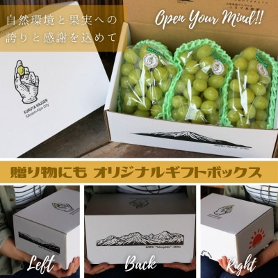 【令和7年先行予約】7月出荷!ハウス栽培南アルプス市産シャインマスカット3房(約1.8kg)