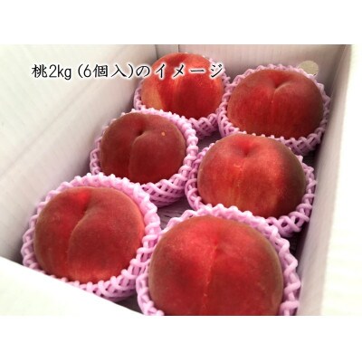 【有機栽培の美味しい桃約2kg 7月前半より発送】自然に優しく希少でジューシーな天然桃(6個入)!