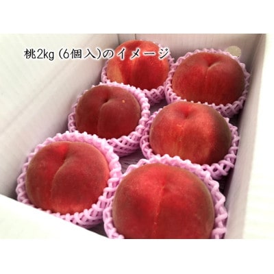 【有機栽培の美味しい桃約2kg 7月後半より発送】自然に優しく希少でジューシーな天然桃(6個入)!