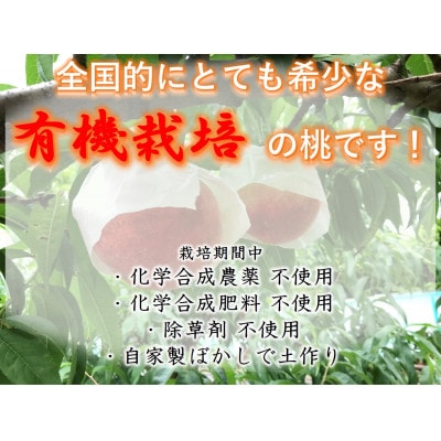 【有機栽培の美味しい桃約2kg 8月より発送予定】自然に優しく希少でジューシーな天然桃(6個入)!