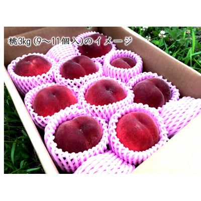 【有機栽培の美味しい桃約3kg 8月より発送】自然に優しく希少でジューシーな天然桃(9～11個入)!
