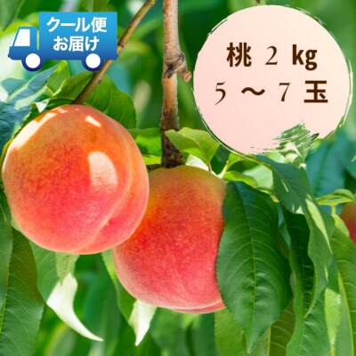 新鮮なフルーツをクール便発送　桃　2kg(5～7玉)