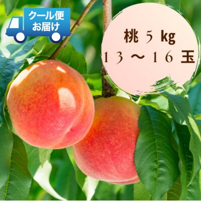 新鮮なフルーツをクール便発送　桃　5kg(13～16玉)