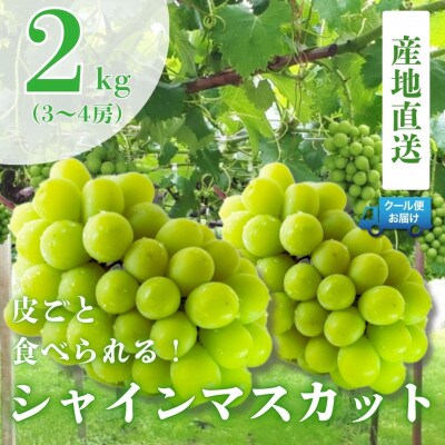 新鮮なフルーツをクール便発送　シャインマスカット　2kg(3～4房)