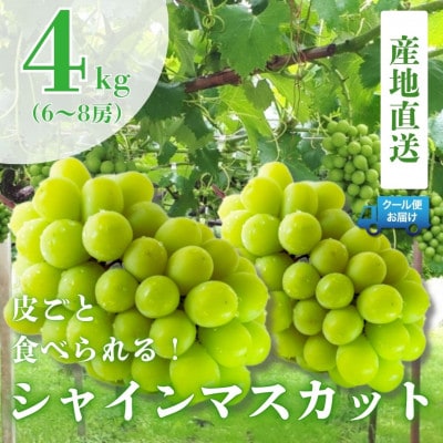 新鮮なフルーツをクール便発送　シャインマスカット　4kg(6～8房)