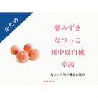 【2026年先行予約】【かため桃】シャキッとかための桃好き必見!季節の【桃】おうち用　約2kg