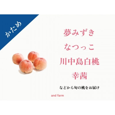 【かため桃】シャキッとかための桃好き必見!季節の【桃】おうち用　約2kg