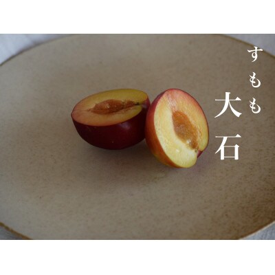 【2027年先行予約】【すもも・大石】甘酸っぱさが魅力の定番すもも 1.5kg 約15~20玉