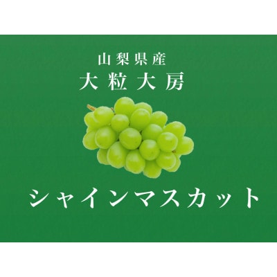 大粒大房!山梨県産シャインマスカット 1房