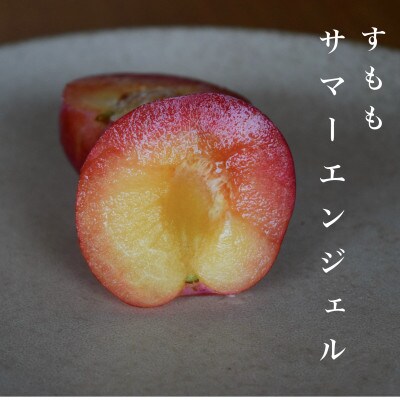 【2027年先行予約】【すもも・サマーエンジェル】甘酸っぱい濃厚な味わい約20~24玉 2.8kg