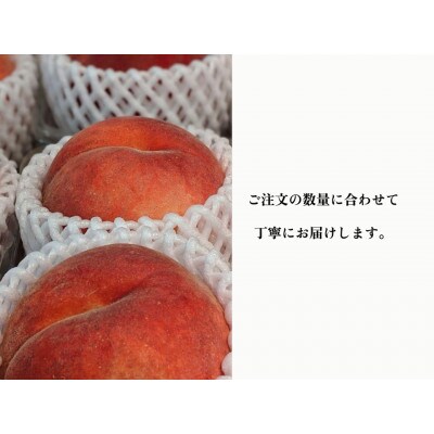 【じゅわ桃】トロッとやわらかめの桃好き必見! 約2kg 約5~8玉