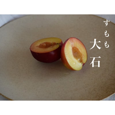 【2027年先行予約】【すもも・大石】甘酸っぱさが魅力の定番すもも 3.0kg 約30~40玉