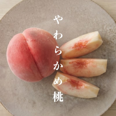 【2027年6月より発送】【やわらかめ桃】トロッとやわらかめの桃好き必見!　計1.3kg(3～4玉)