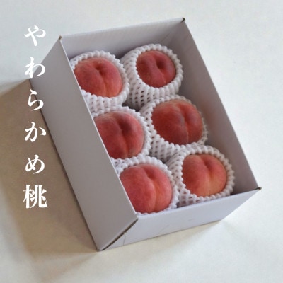 【2027年6月より発送】【やわらかめ桃】トロッとやわらかめの桃好き必見!　計1.3kg(3～4玉)