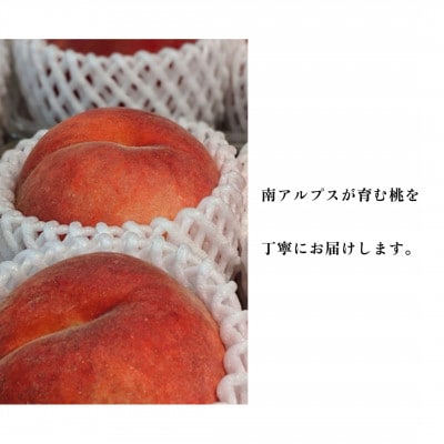 【2027年7月より発送】夢みずき|山梨生まれ、甘さあふれる大玉桃　計4kg(8～15玉)