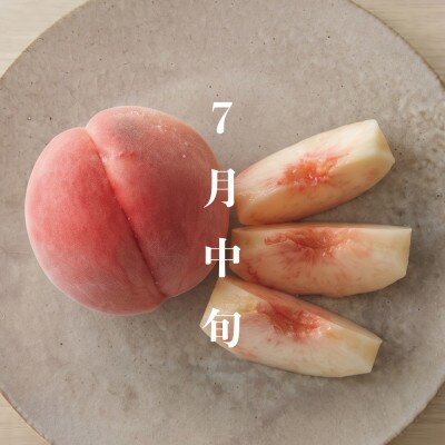 【7月中旬より順次発送】品種おまかせ!山梨県産の旬の桃　計4kg(8～15玉)