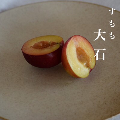 【2027年6月より順次発送】【すもも・大石】甘酸っぱさが魅力の定番すもも　計1kg(10～14玉)