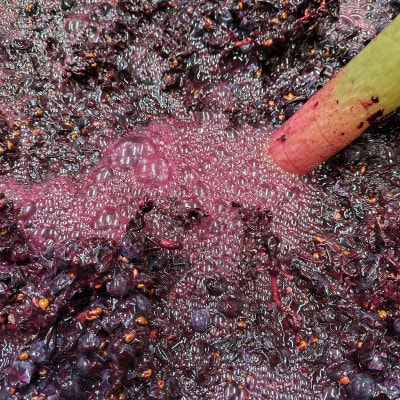 【自然派】フルボディ15度赤ワイン 南アルプス小公子2025黒 750ml×2本