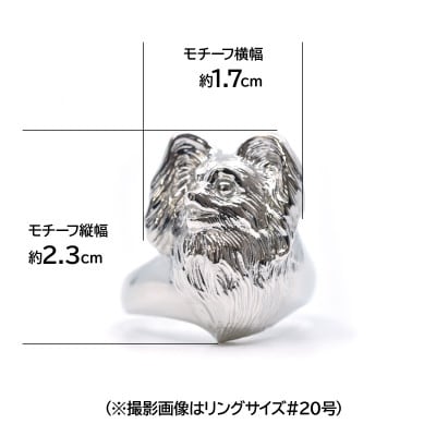 純プラチナ製(Pt999) 『パピヨン』リング 15号