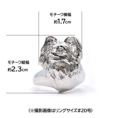 純プラチナ製(Pt999) 『パピヨン』リング 20号