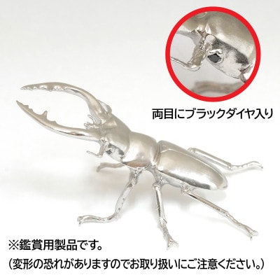銀製(シルバー925) 鋸鍬形(ノコギリクワガタ)