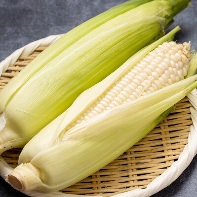 【真っ白な甘さの衝撃!】ジューシーな白いとうもろこし『朝採れピュアホワイト』その日のうちに発送します